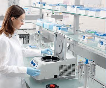 Equine Gastrin EasyTestTM competitive ELISA kit